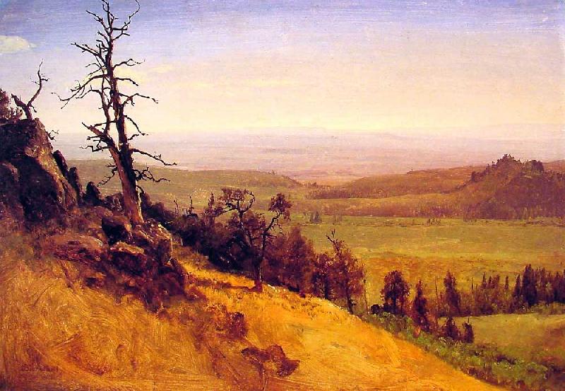 Albert Bierstadt Newbraska Wasatch Mountains China oil painting art